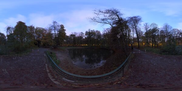 pond bridge night