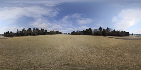 yellow field